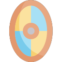020-shield Icon