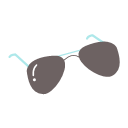 Icon Sunglasses Icon