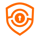 DSi data security insurance Icon
