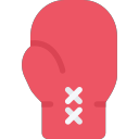 boxing glove Icon