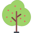 cherry tree Icon