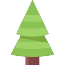 fir tree 4 Icon