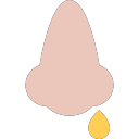 nose snot Icon