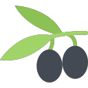 olives Icon