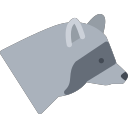 raccoon Icon