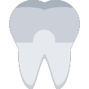 tooth crown Icon