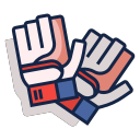 Fitness Gloves Icon