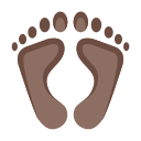 Human Footprints Icon