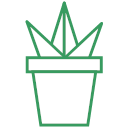 plant-10 Icon