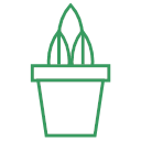 plant-28 Icon