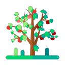 Surface fruit tree Icon