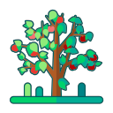Linear fruit tree Icon
