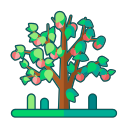 Linear peach tree Icon