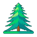 Linear spruce Icon