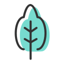 Tree 4 Icon