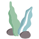 Aquatic weed Icon