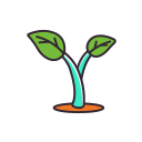 Daily 2_ Planting trees - germination Icon