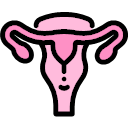 001-uterus Icon