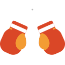 Boxing ring Icon