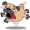 dog pug Icon