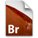 BR GenericFile Icon
