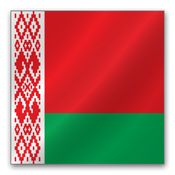 Belarus flag Icon