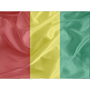 Regular Guinea Icon