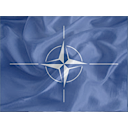Regular NATO Icon