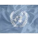 Regular United Nations Icon