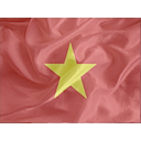 Regular Viet Nam Icon