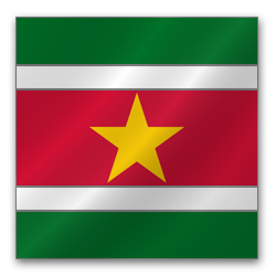 Surinam Flag Icon