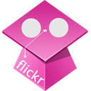 flickr Icon