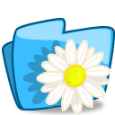 folder flower camomile Icon