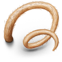Pigs Tail Icon