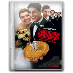 American Wedding Icon Free Download As Png And Ico Formats Veryicon Com