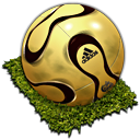 FIFA World Cup 010 Icon
