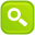 zoom Green Icon