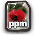 PPM Icon