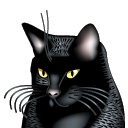 Black Cat Icon