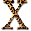 System OS X Jaguar Icon