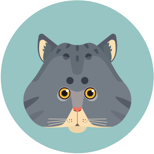 Pitao cat Icon