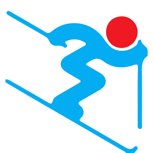 Winter Olympics project 1 Icon