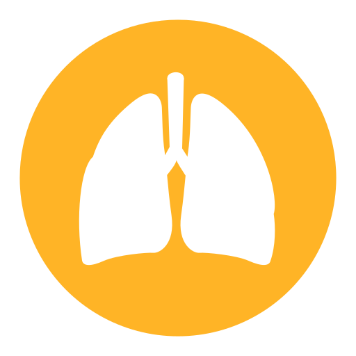 S_ Healthy breathing home page Icon