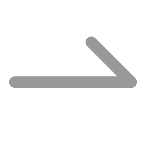 Single arrow Icon