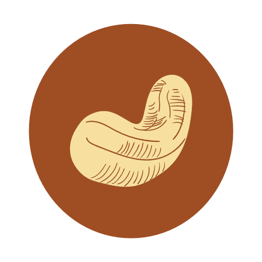Charcoal cashew nuts Icon