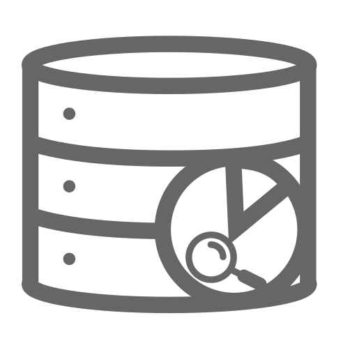 Database audit Icon