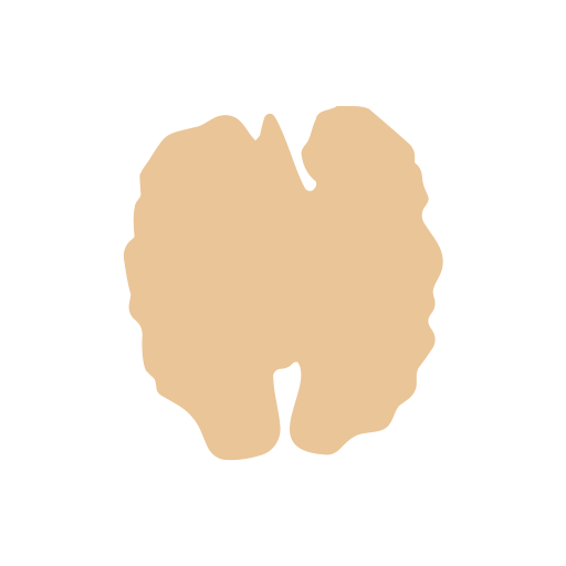 Walnut kernel Icon