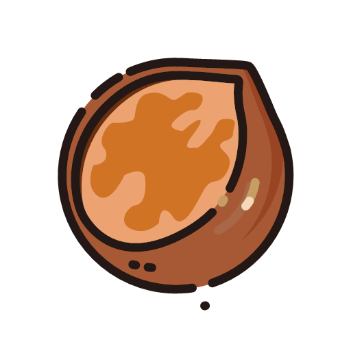 Round walnut Icon