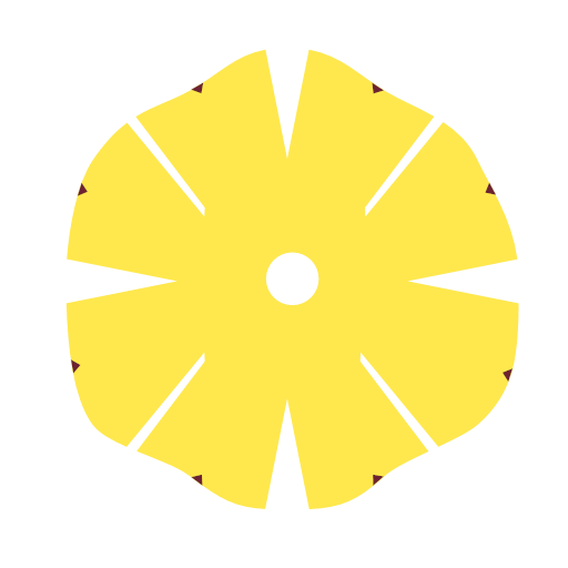 Pineapple slice Icon