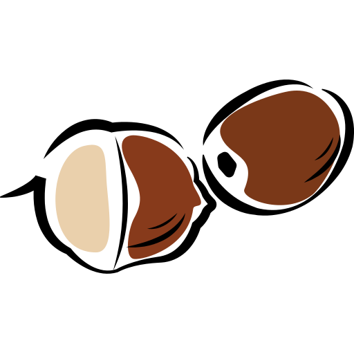 acorn Icon